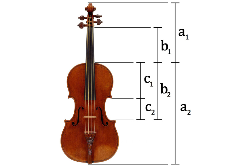 Корпус скрипки. Золотое сечение Страдивари. Чертеж скрипки Antonio Stradivari. Скрипка золотое сечение. Фибоначчи скрипка.